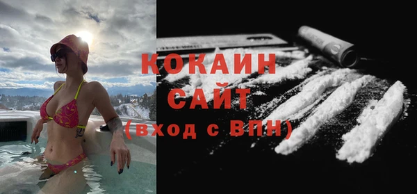 прущие грибы Россошь