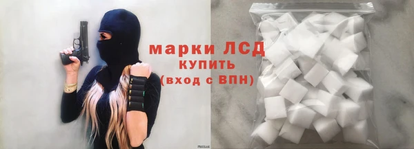 прущие грибы Россошь