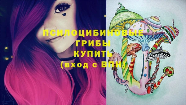 СК Алексин