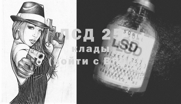 СК Алексин