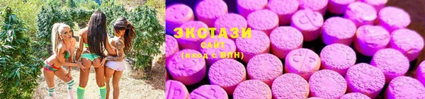 таблы Алзамай